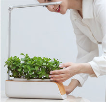 Load image into Gallery viewer, Desk Lamp Hydroponic Indoor Herb Garden Kit Smart Multi-Function Growing Led Lamp