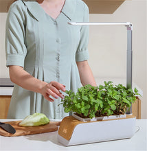 Load image into Gallery viewer, Desk Lamp Hydroponic Indoor Herb Garden Kit Smart Multi-Function Growing Led Lamp