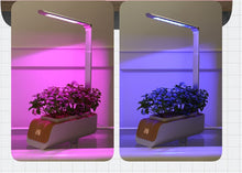 Load image into Gallery viewer, Desk Lamp Hydroponic Indoor Herb Garden Kit Smart Multi-Function Growing Led Lamp