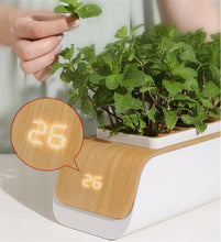 Load image into Gallery viewer, Desk Lamp Hydroponic Indoor Herb Garden Kit Smart Multi-Function Growing Led Lamp