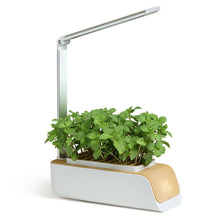 Load image into Gallery viewer, Desk Lamp Hydroponic Indoor Herb Garden Kit Smart Multi-Function Growing Led Lamp