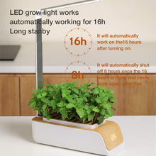 Load image into Gallery viewer, Desk Lamp Hydroponic Indoor Herb Garden Kit Smart Multi-Function Growing Led Lamp