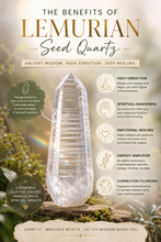 Load image into Gallery viewer, Lemurian Seed Quartz | Necklace