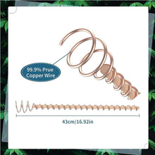 Load image into Gallery viewer, 8 Pack Electroculture Copper Gardening Antenna With 3 Small Garden Tool Electroculture Plant Stakes